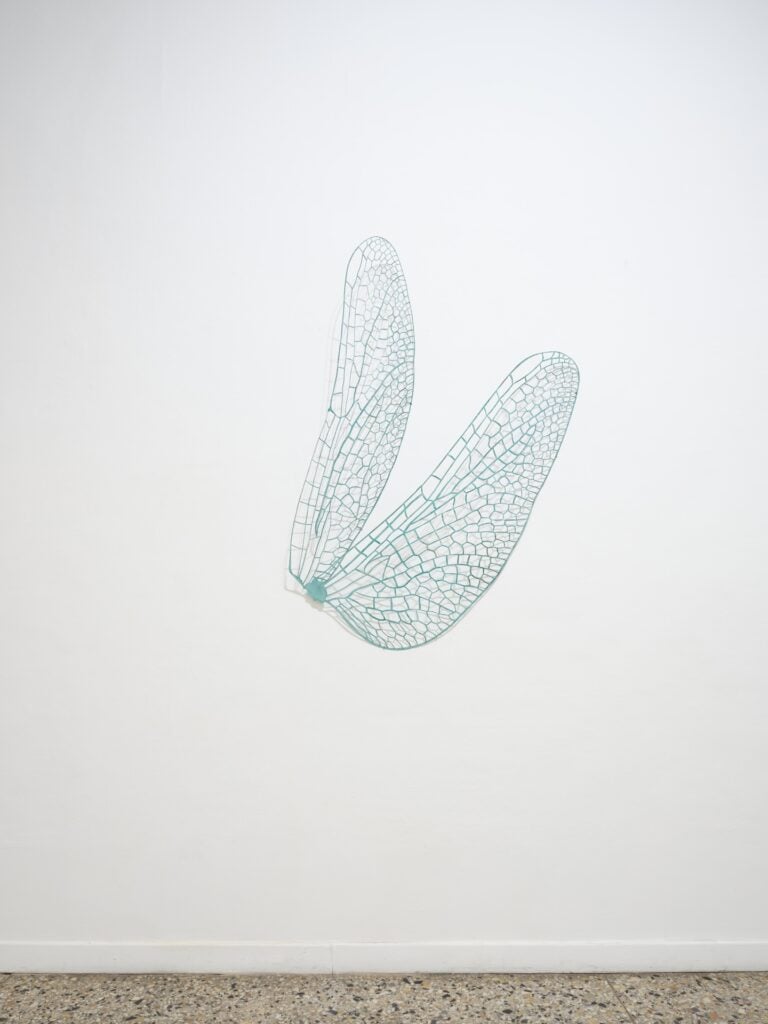 Elisabetta Di Maggio. Punto improprio, installation view at Galleria Christian Stein, Milano, 2025. Courtesy Galleria Christian Stein, Milano. Photo Agostino Osio.