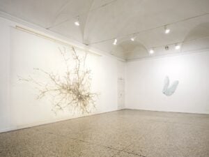 Tutti i fili della vita. La mostra di Elisabetta Di Maggio a Milano