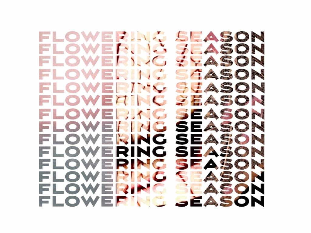 Flowering Season