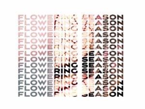 Flowering Season