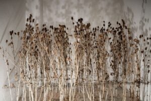 Mistero, magia e arte contemporanea. Tutto in una mostra ad Ascoli Piceno 