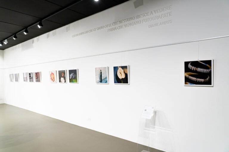 Fotografia è moda, installation view, Treviso, 2025