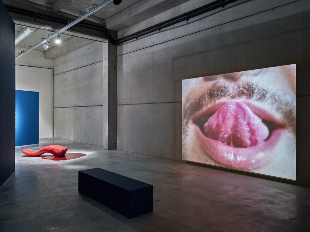 Intervista a Jonathas de Andrade. L’artista brasiliano in mostra tra i vigneti della Provenza