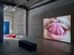 Intervista a Jonathas de Andrade. L’artista brasiliano in mostra tra i vigneti della Provenza