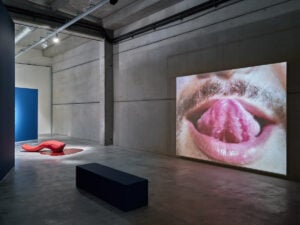 Intervista a Jonathas de Andrade. L’artista brasiliano in mostra tra i vigneti della Provenza