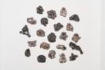 Gaia Fugazza, Making Kin, 2025. Courtesy Richard Saltoun Gallery