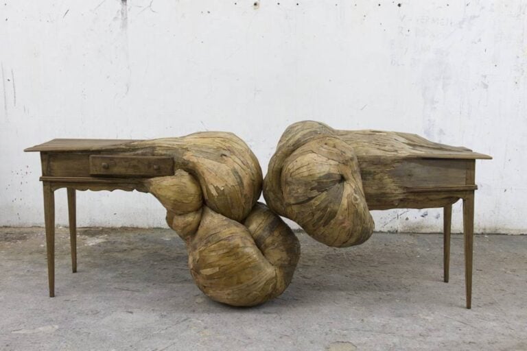 Henrique Oliveira, Meiosis, 2014. Private collection. Courtesy of the artist