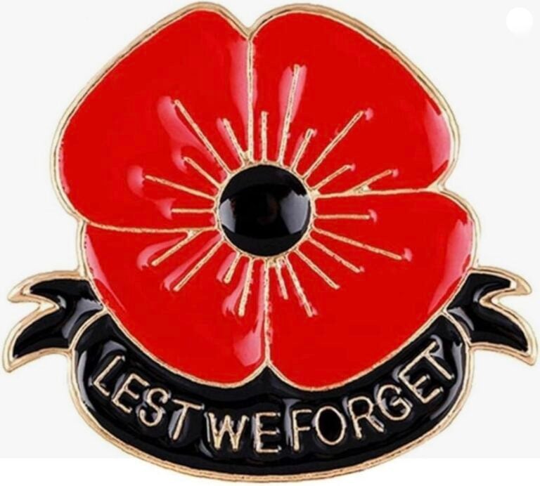 il Poppy pin in smalto che ricorda i caduti della prima guerra mondiale in Gran Bretagna