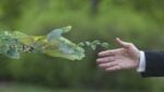 Parlare di sostenibilità è doveroso, ma per crescere e migliorare come Paese bisogna andare decisamente oltre