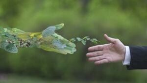 Insieme alla sostenibilità è la cultura il valore aggiunto necessario per un cambiamento