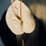 la fotografia e moda 1 A Treviso una mostra anticonvenzionale esplora la fotografia di moda come linguaggio globale