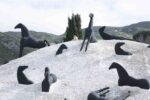 la montagna di sale di m paladino foto cgiorgio varvaro 1 Gibellina Capitale, verso il 2026. Parola a Francesca Corrao per la Fondazione Orestiadi