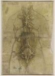 Leonardo da Vinci, Sistema cardiovascolare e organi del torso femminile (The Great Lady), 1509-10, Windsor, Royal Collection