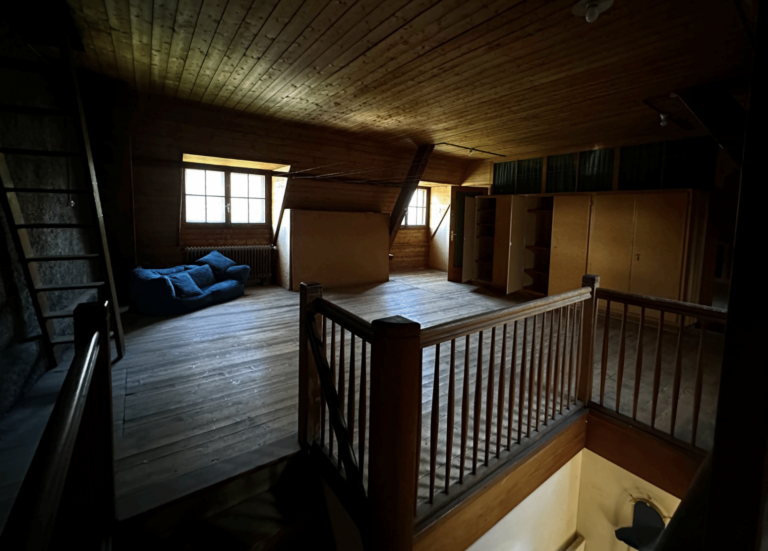 Maison Clearing, Basilea