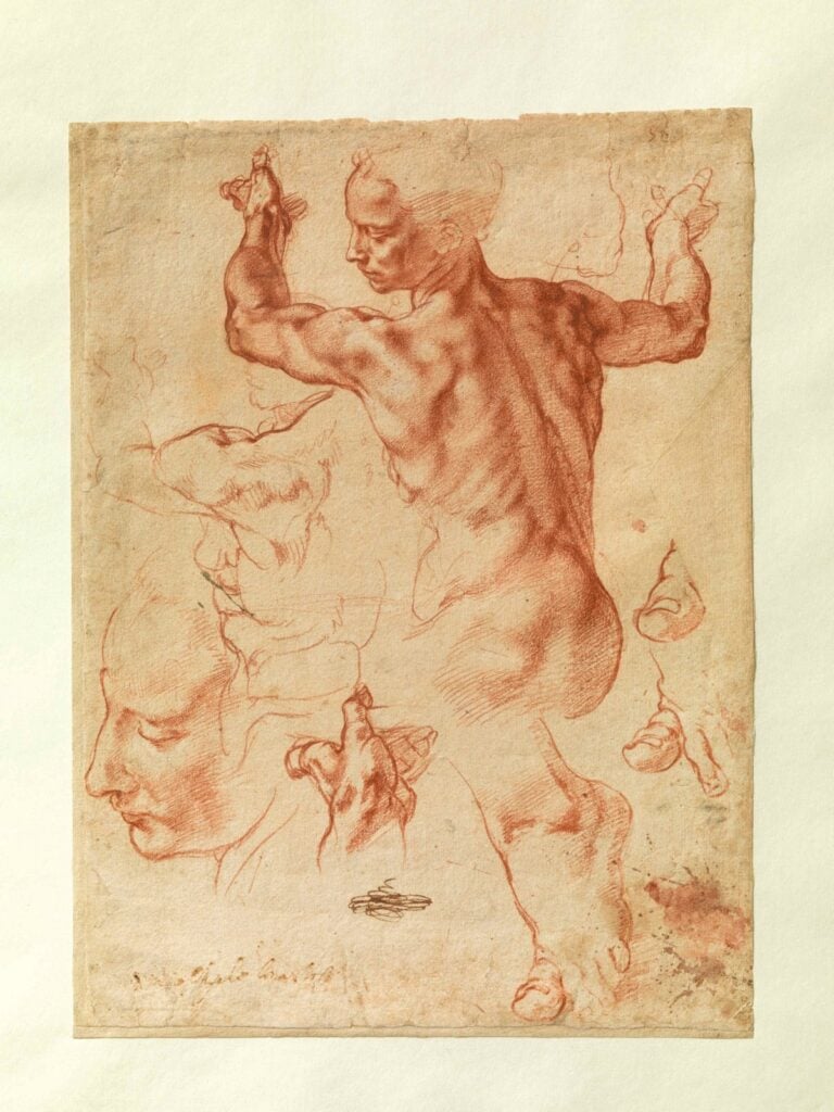 Michelangelo Buonarroti, Studi per la Sibilla libica, 1510-11 ca., New York, The Metropolitan Museum of Art