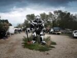 La storia di Mutonia: il villaggio di sculture steampunk in Romagna rischia lo sgombero