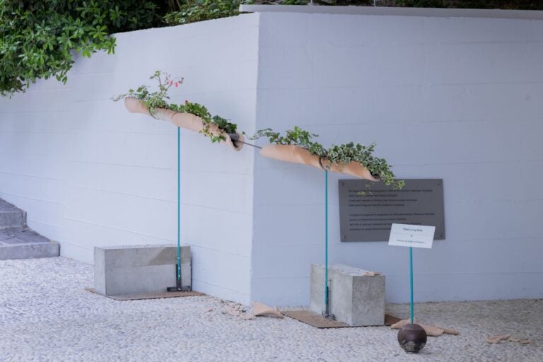 Padiglione Giappone, Biennale Architettura 2025, Venezia. Photo ©SUNAKI Inc.