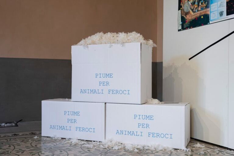 Piume per animali feroci, 2025, Peter Fend, as part of Lavoro per Natura Vivente, non solo Capitali, Fondazione Morra Greco, 2025. Photo Amedeo Benestante. Courtesy Fondazione Morra Greco.