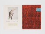 Roni Horn White Raven 1 • Red Hope, 2022 Due stampe a pigmenti su carta di cotone, incorniciate insieme 34,8 × 53,8 cm; 40 × 59,3 × 3 cm framed Ed. 12 + 1 AP Photo: Tom Powel Courtesy the Artist and Galleria Raffaella Cortese, Milano - Albisola