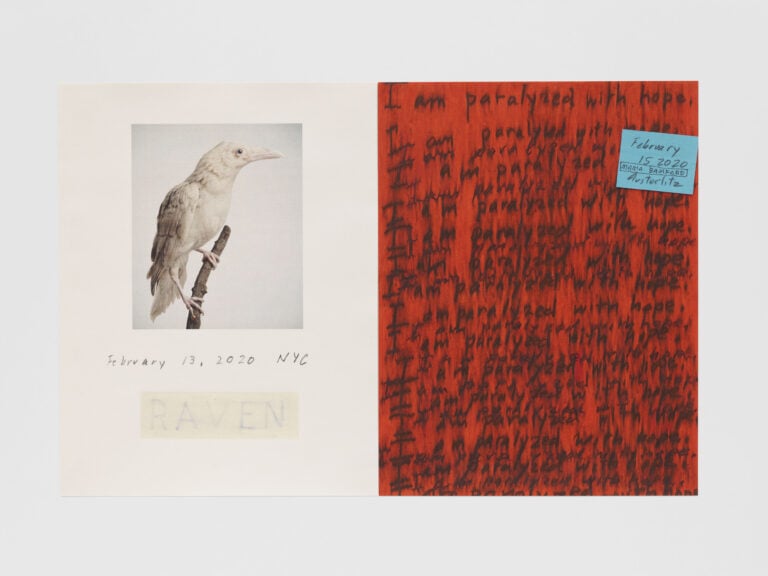 Roni Horn
White Raven 1 • Red Hope, 2022
Due stampe a pigmenti su carta di cotone, incorniciate insieme 34,8 × 53,8 cm; 40 × 59,3 × 3 cm framed
Ed. 12 + 1 AP
Photo: Tom Powel Courtesy the Artist and Galleria Raffaella Cortese, Milano - Albisola