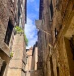 Assistere il buio. Serena Fineschi