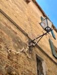 Assistere il buio. Sissi