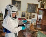 La muffa che si mangia le opere d’arte preoccupa esperti e restauratori