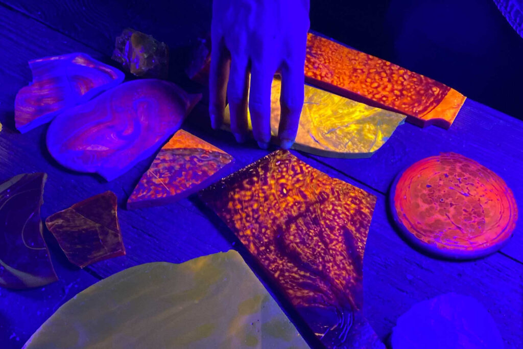Paolo Pretolani – Phototaxis