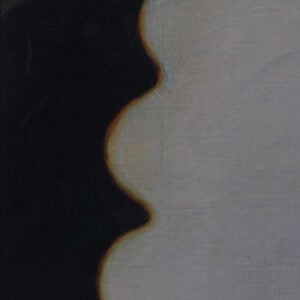 Giulio Bonfante - I misteriosi anni Venti