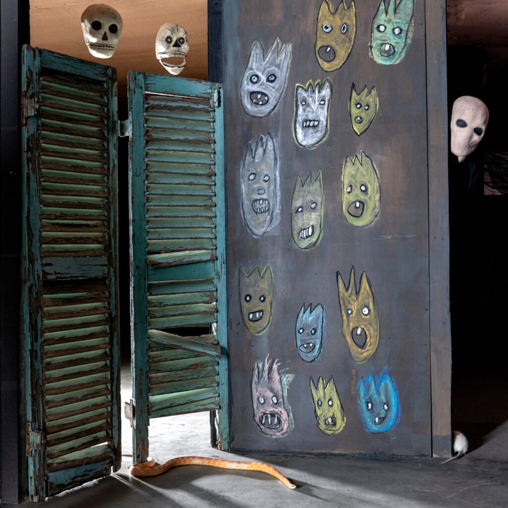 Roger Ballen – Spirits and Spaces