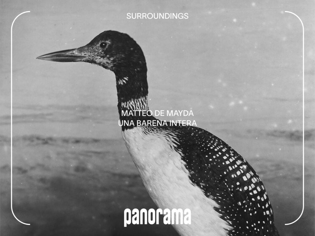 Matteo de Mayda – Una barena intera