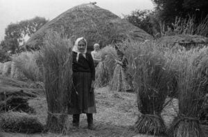 19. Mostra Internazionale di Architettura - Padiglione Ucraino