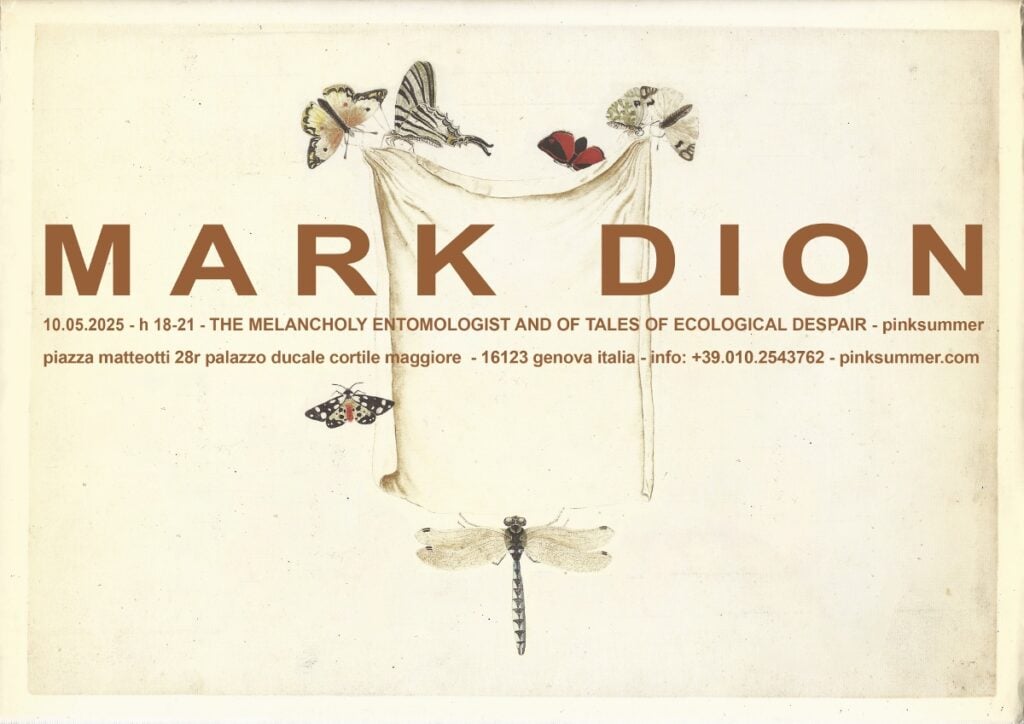 Mark Dion – The Melancholy Entomologist And Of Tales Of Ecological Despair