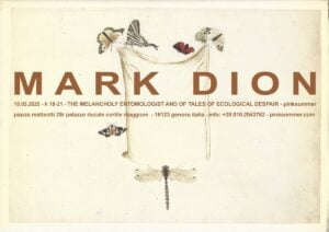 Mark Dion - The Melancholy Entomologist And Of Tales Of Ecological Despair