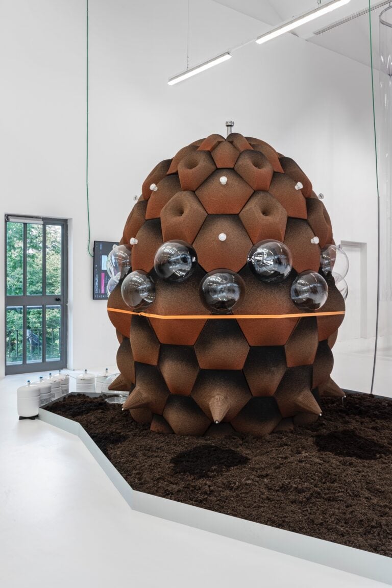 We the Bacteria ©Alessandro Saletta e Agnese Bedini - DSL Studio
