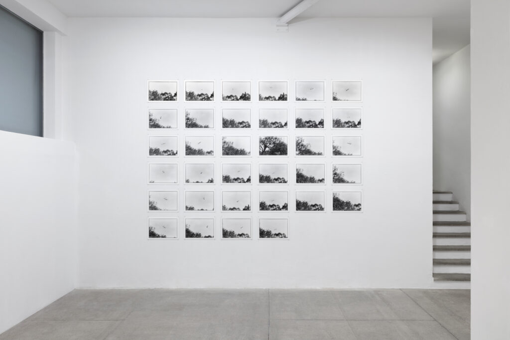 Zoe Leonard, installation view from Excerpts from Al Río / To the River, Galleria Raffaella Cortese, Milano, 2023. Ph: Andrea Rossetti / Héctor Chico. Courtesy the Artist and Galleria Raffaella Cortese, Milano - Albisola