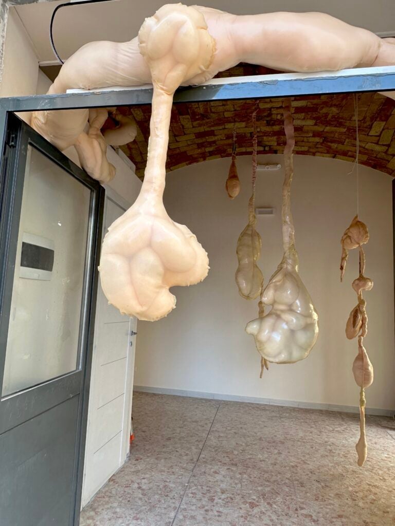 LEMBI presenta la mostra "LEMBI" di Michela De Nichilo