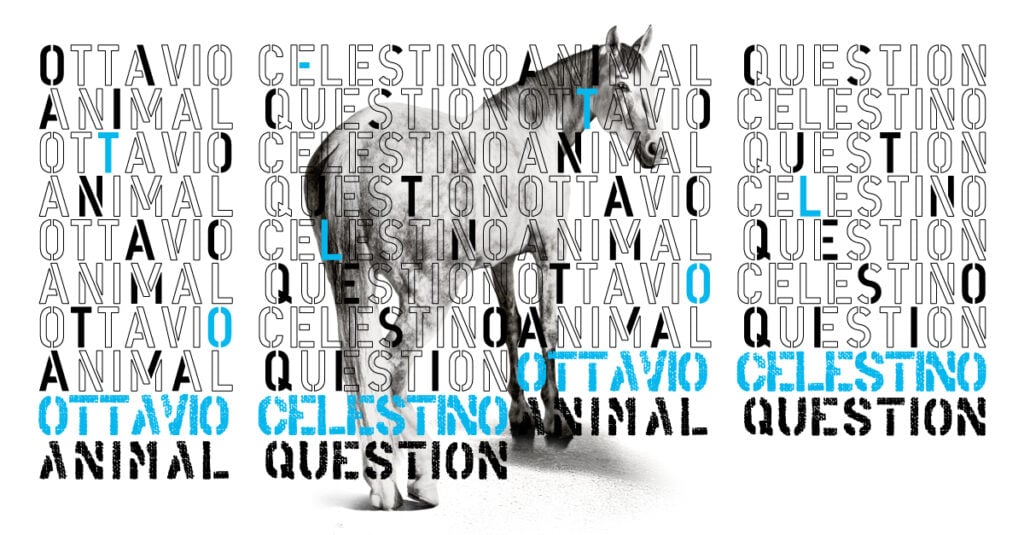Ottavio Celestino. Animal question