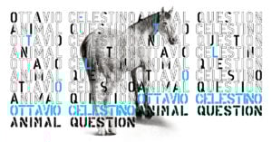 Ottavio Celestino. Animal question