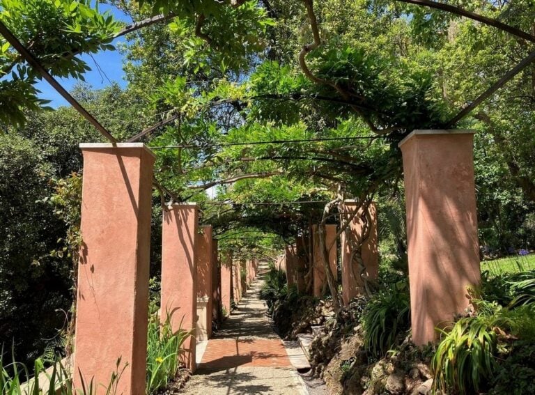 3giardino di villa rezzola lerici spfoto isabella dothel2025c fai fondo per lambiente italiano 1 Riapre al pubblico un bellissimo giardino inglese in Liguria. Il restauro del FAI