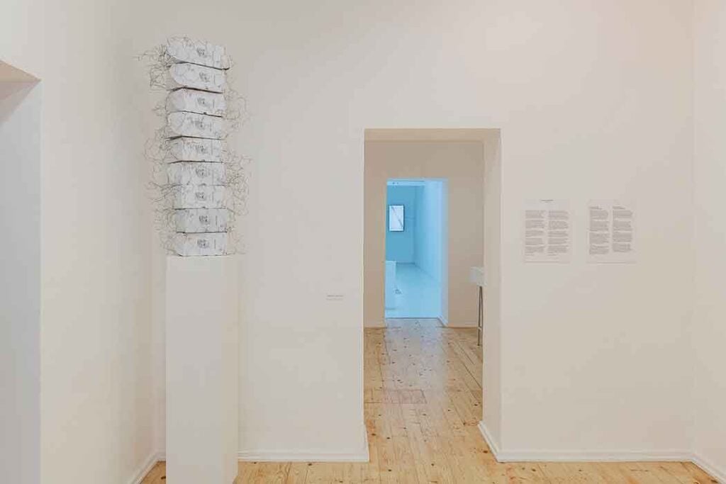 Alba Zari, Fear of Mirrors, installation view at Pastifiio Cerere, Roma, 2025. Courtesy Pastificio Cerere. Photo Carlo Romano