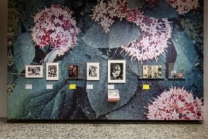 La vera storia della foto del bacio di Alfred Eisenstaedt è in mostra a Torino