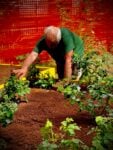 Alpini dell'ANA, sezione di Bergamo, lavorano al Giardino della Memoria di Palazzo Jung