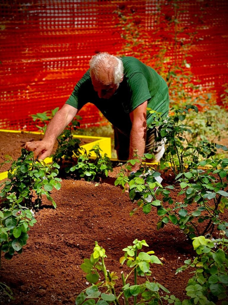 Alpini dell'ANA, sezione di Bergamo, lavorano al Giardino della Memoria di Palazzo Jung