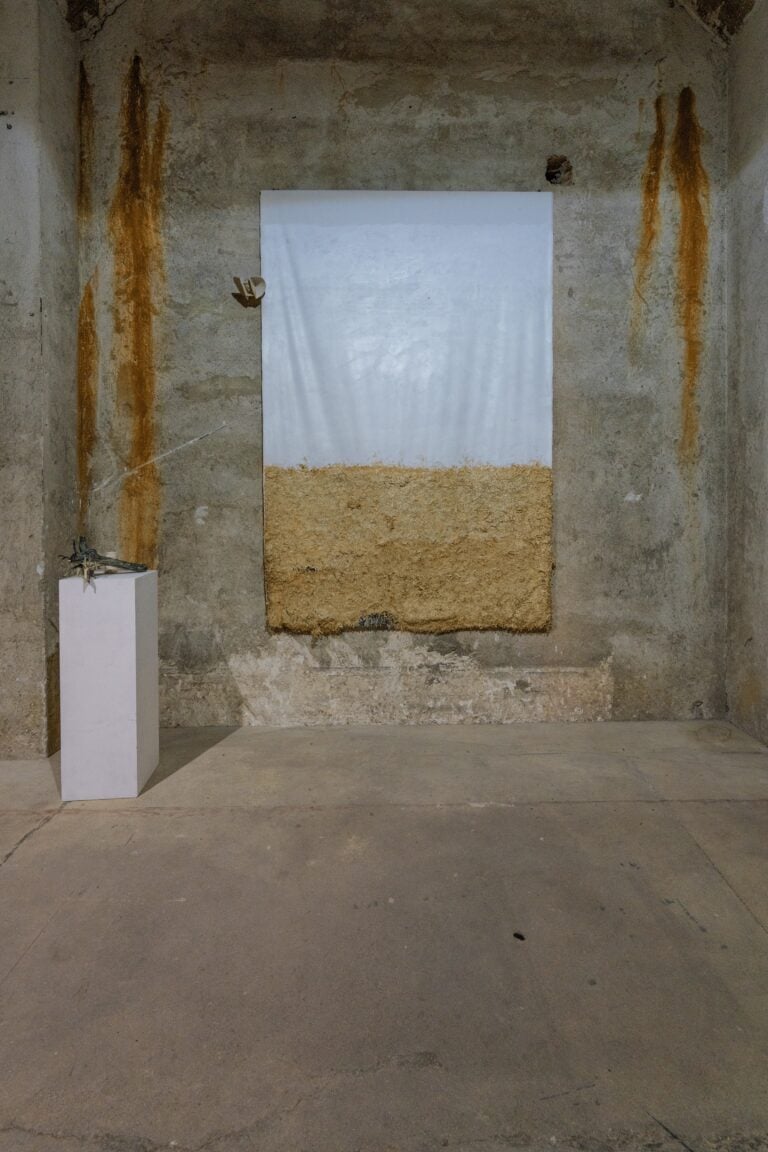 Mostra "Ecosistemi dell'arte" a Villa Zerbi a Reggio Calabria (Angela Pellicanò)