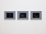 Anthea Hamilton, Soft You, Installation view, Fondazione Memmo, Roma © Daniele Molajoli