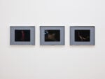 Anthea Hamilton, Soft You, Installation view, Fondazione Memmo, Roma © Daniele Molajoli