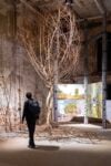 Biennale Architettura 2025, ph Irene Fanizza