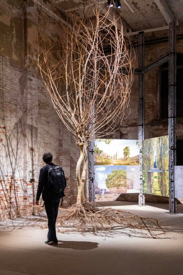 Biennale Architettura 2025, ph Irene Fanizza