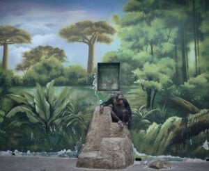 Sony World Photography Awards 2025